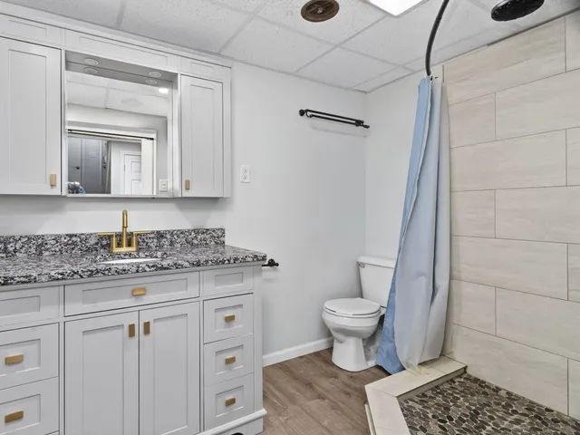 a bathroom with a granite countertop toilet and a sink