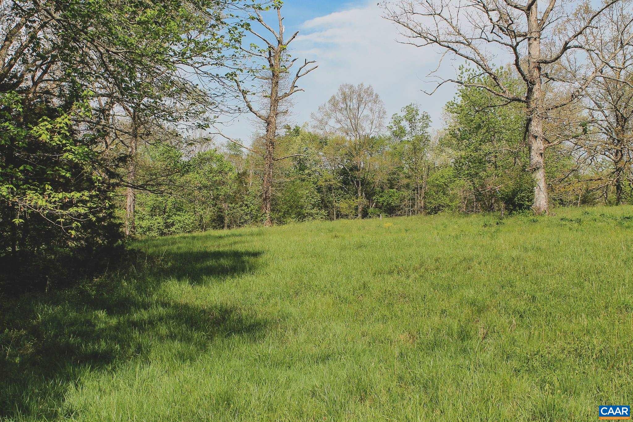 Lot 33 Thomas Ridge Lane Ruckersville, VA 22968 - Photo 34 of 41 Gallery Image 34