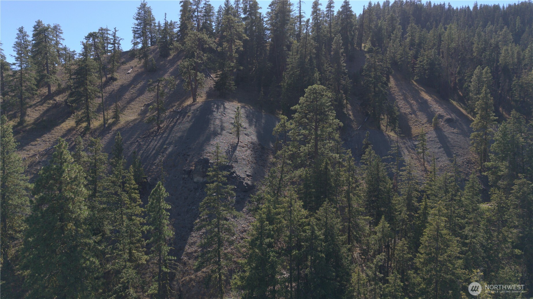0 Old Blewett Pass Highway Peshastin, WA 98847 - Photo 2 of 8 a view of a forest with a tree