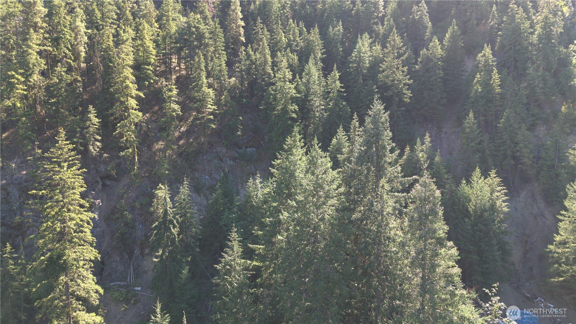 0 Old Blewett Pass Highway Peshastin, WA 98847 - Photo 3 of 8 a picture of tree