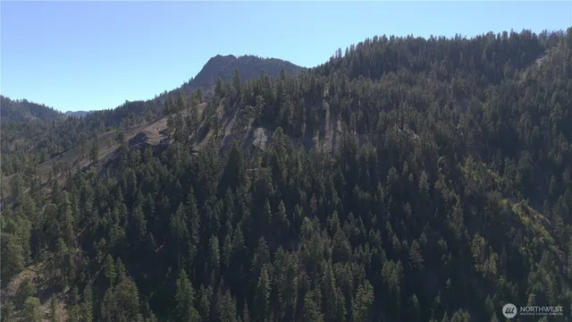 a view of a small yard