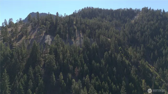 a view of a dry yard with trees in the background