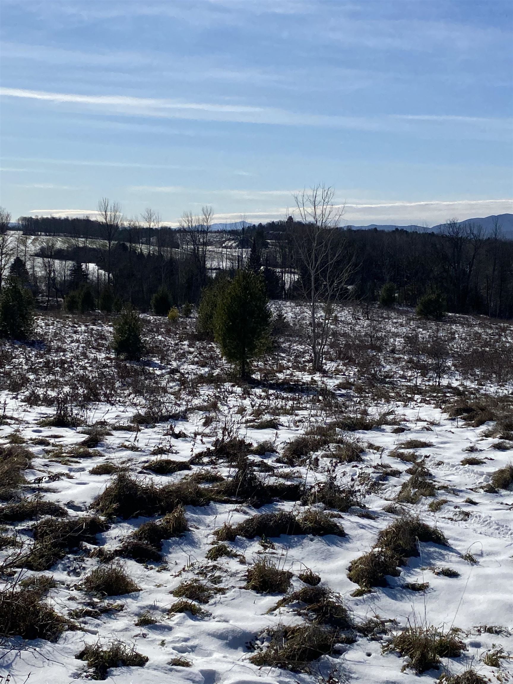 Ridge Road Brookfield, VT 05036 - Photo 5 of 10