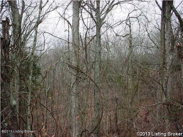 0 Carters Road Lockport, KY 40036 - Photo 1 of 1 Lot 7 Carter Rd