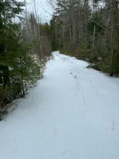 Map34-lot6 Western County Road Blue Hill, ME 04614 - Photo 1 of 1 IMG_7630