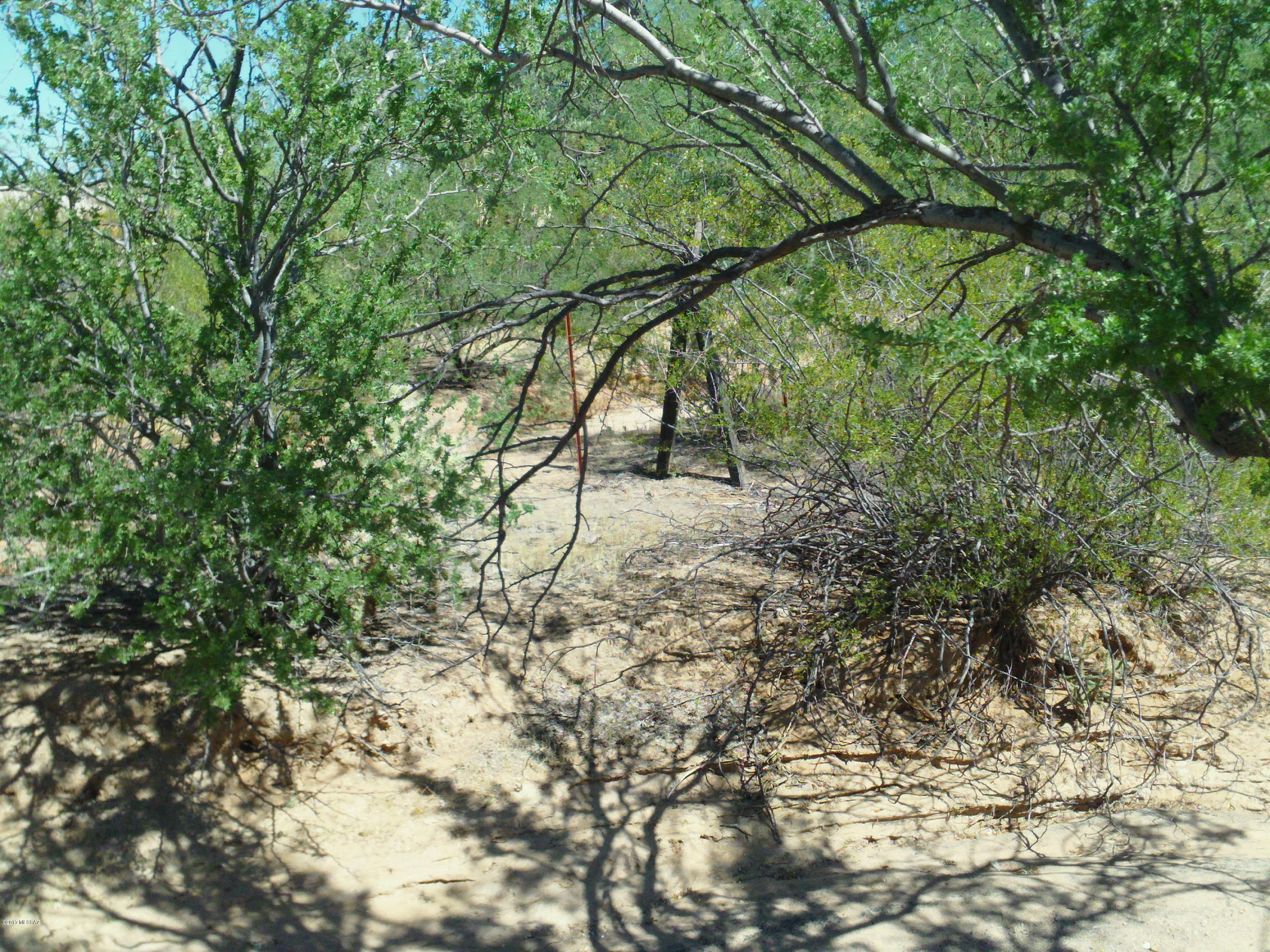 5870 North Chaparral Road Tucson, AZ 85743 - Photo 28 of 31