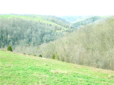260 Galilee Road Lancaster, KY 40444 - Photo 6 of 29 View of property, there is also ponds.