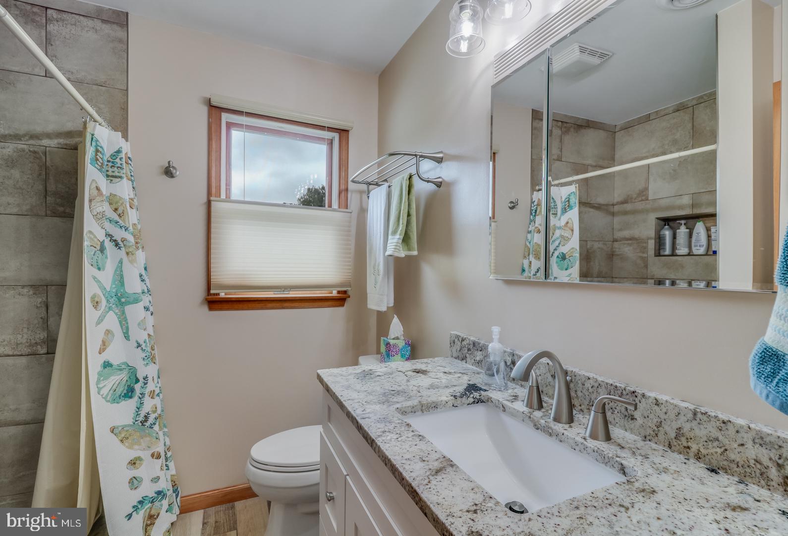 1942 Walnut Shade Road Magnolia, DE 19962 - Photo 23 of 41 Master Bath