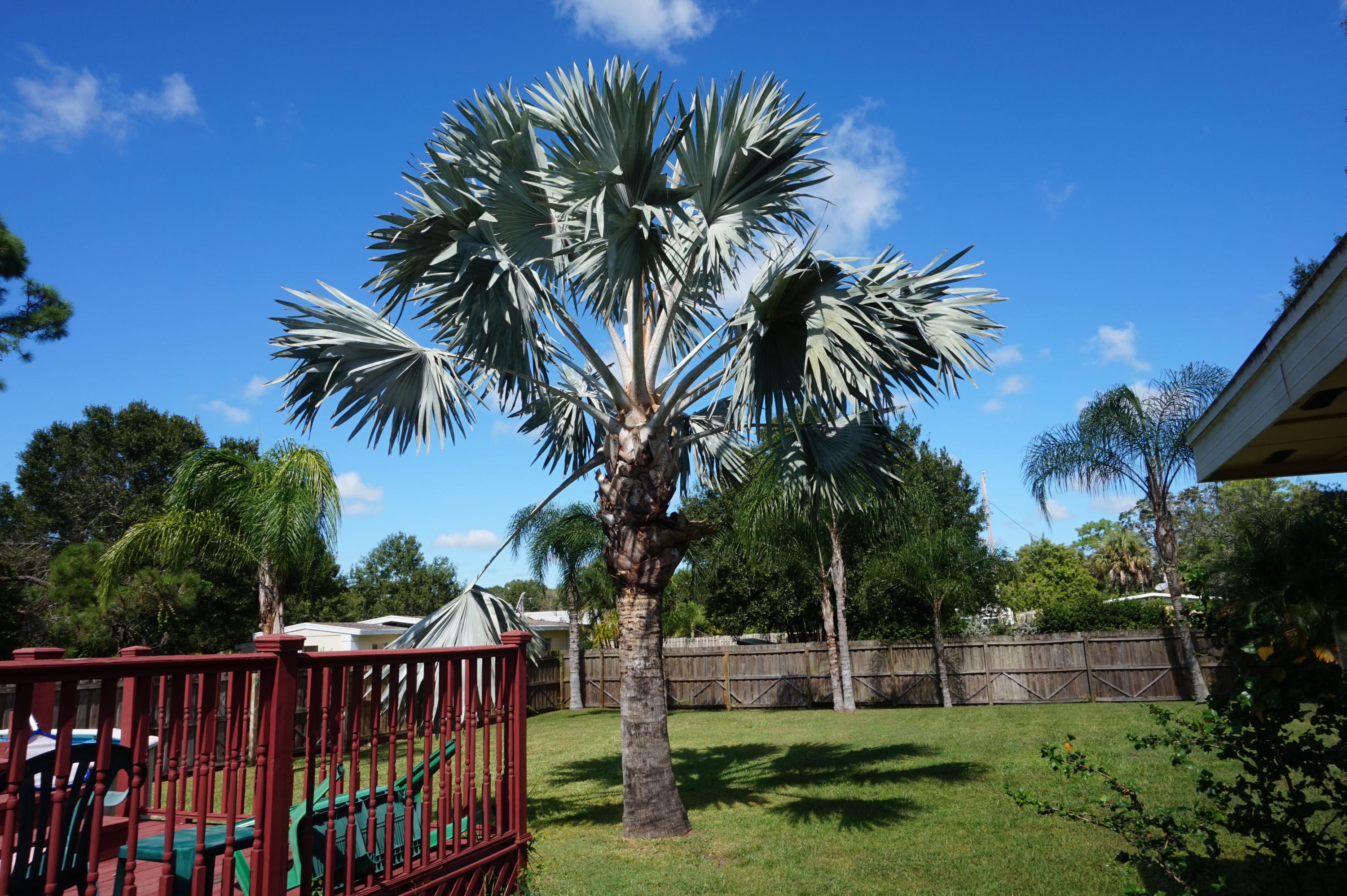 801 South Jenkins Road Fort Pierce, FL 34947 - Photo 12 of 15 DSC01490.2