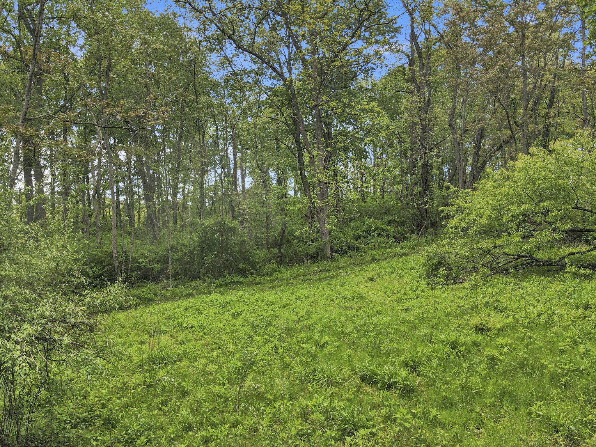 29500 Fairview Ridge Road Logan, OH 43138 - Photo 3 of 73 2-web-or-mls-DJI_0676