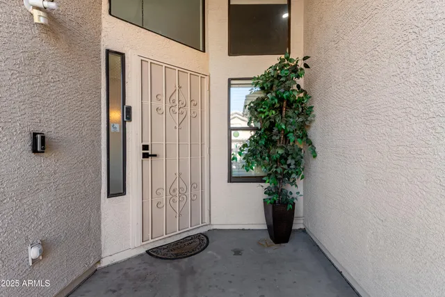 a view of a potted plants next to a wall