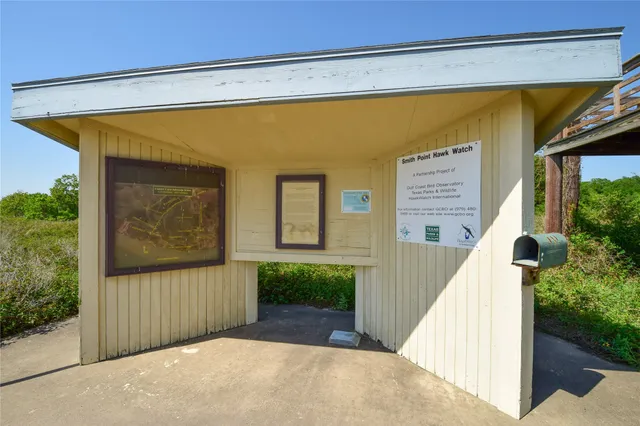 a view of a house with backyard and porch