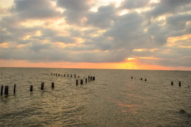 a view of a house with lots of trees