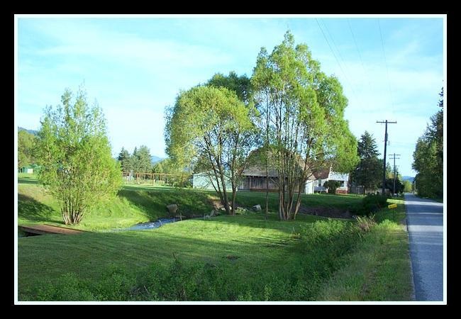 2238 Cozy Nook Road Chewelah, WA 99109 - Photo 17 of 20 Gallery Image 17