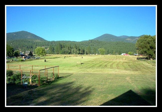 2238 Cozy Nook Road Chewelah, WA 99109 - Photo 18 of 20 Gallery Image 18