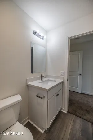 a bathroom with a sink toilet and mirror