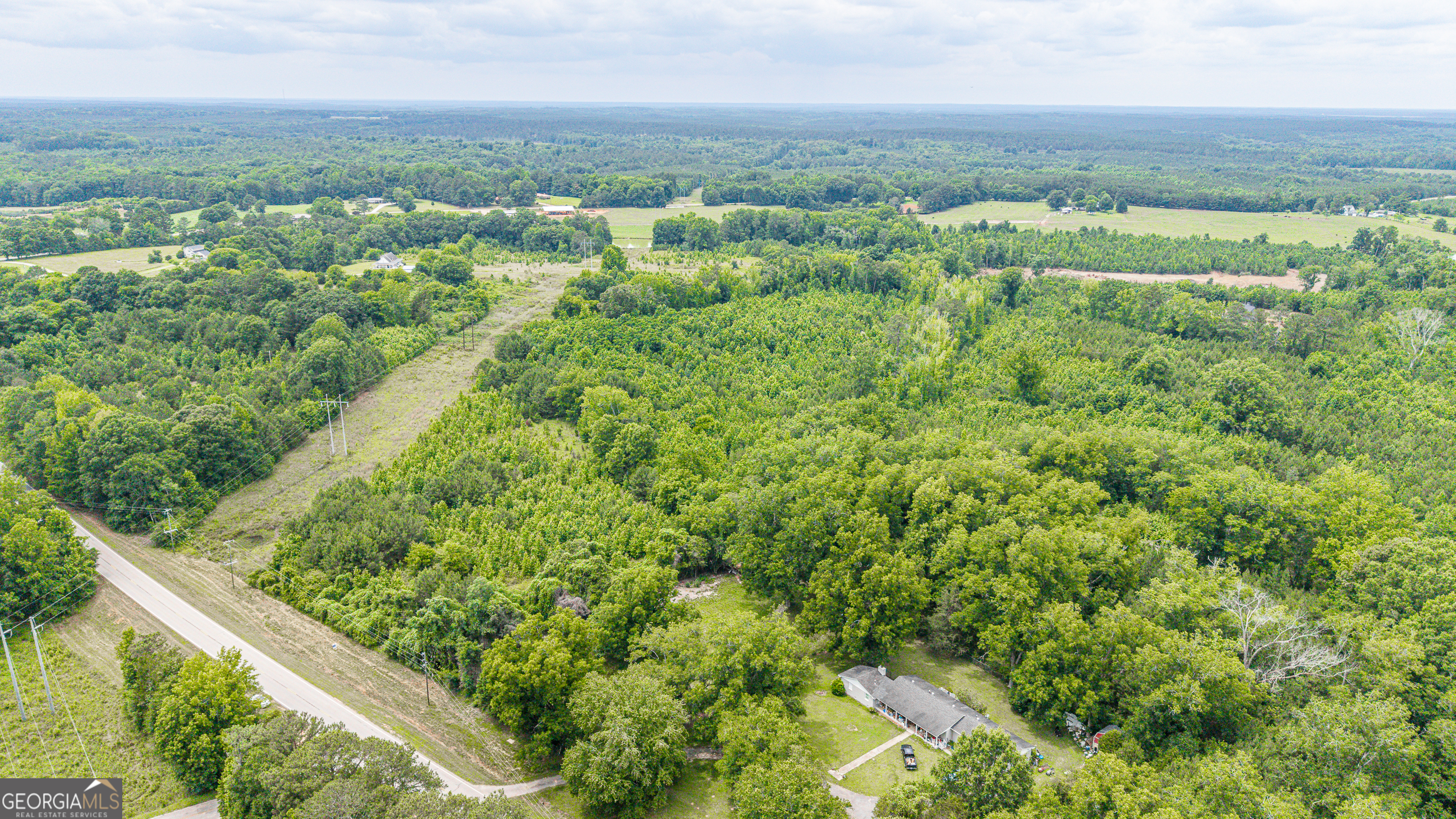 0 Washington Highway Union Point, GA 30669 - Photo 17 of 22