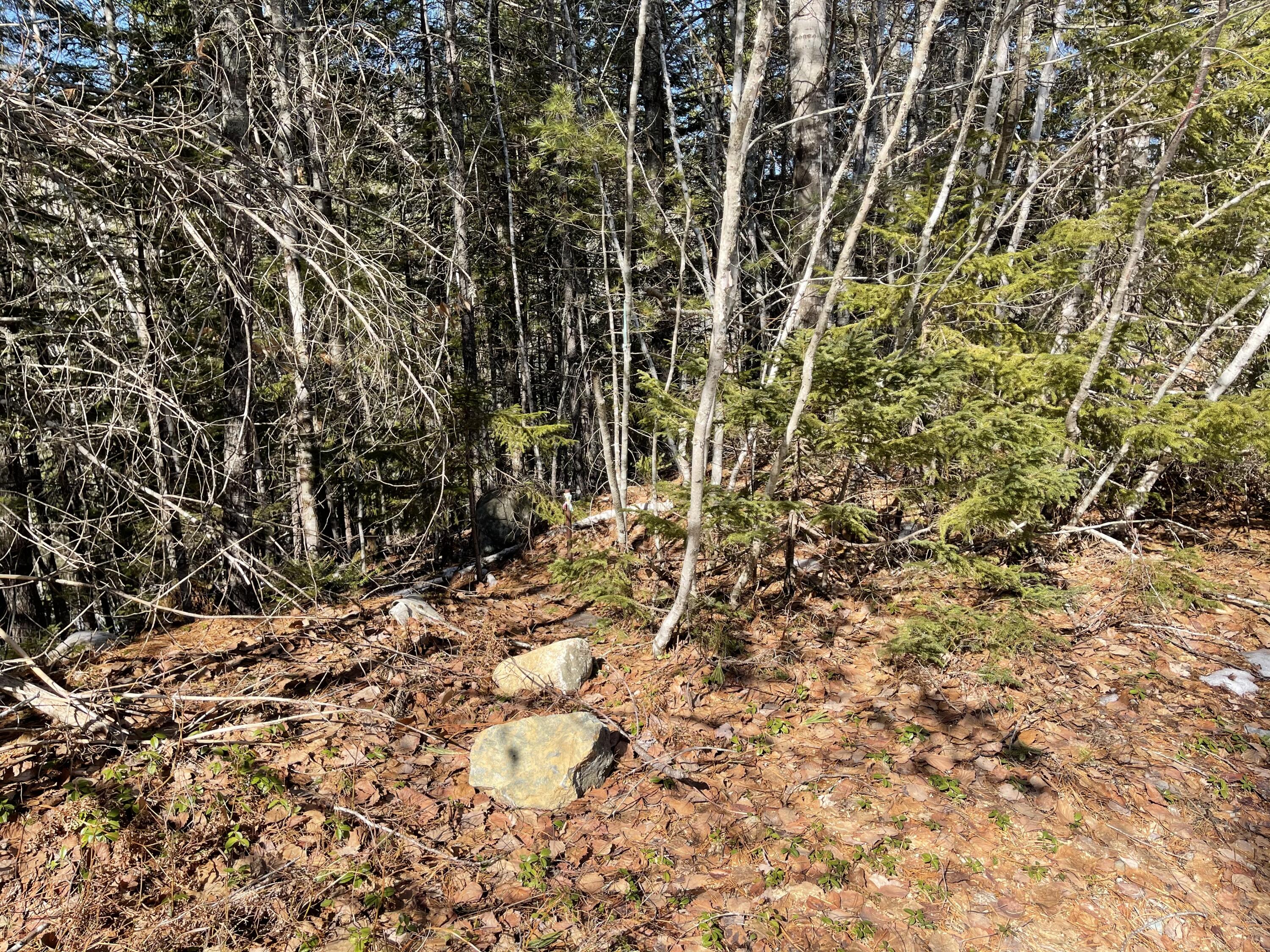 63-64 Kettle Ridge Northfield, ME 04654 - Photo 11 of 19 IMG-0808