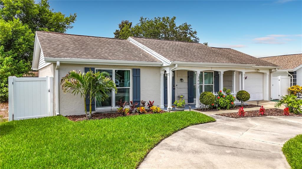 3802 Grayton Drive New Port Richey, FL 34652 - Photo 3 of 78