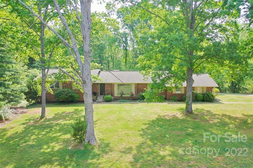 a house in middle of the forest