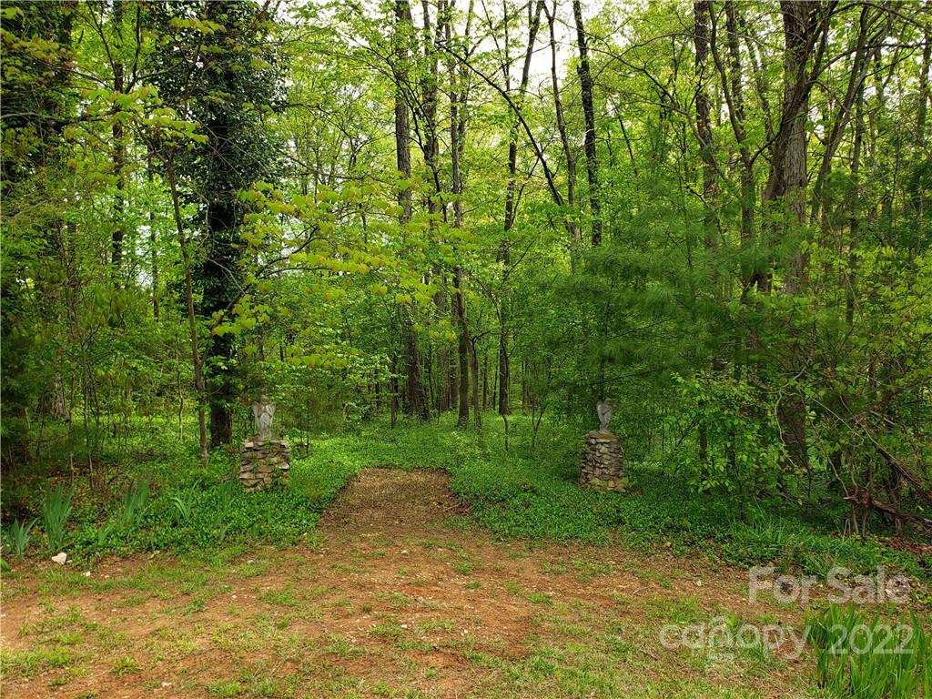 142 Koontz Road Mocksville, NC 27028 - Photo 29 of 47 a view of a yard with plants and large trees