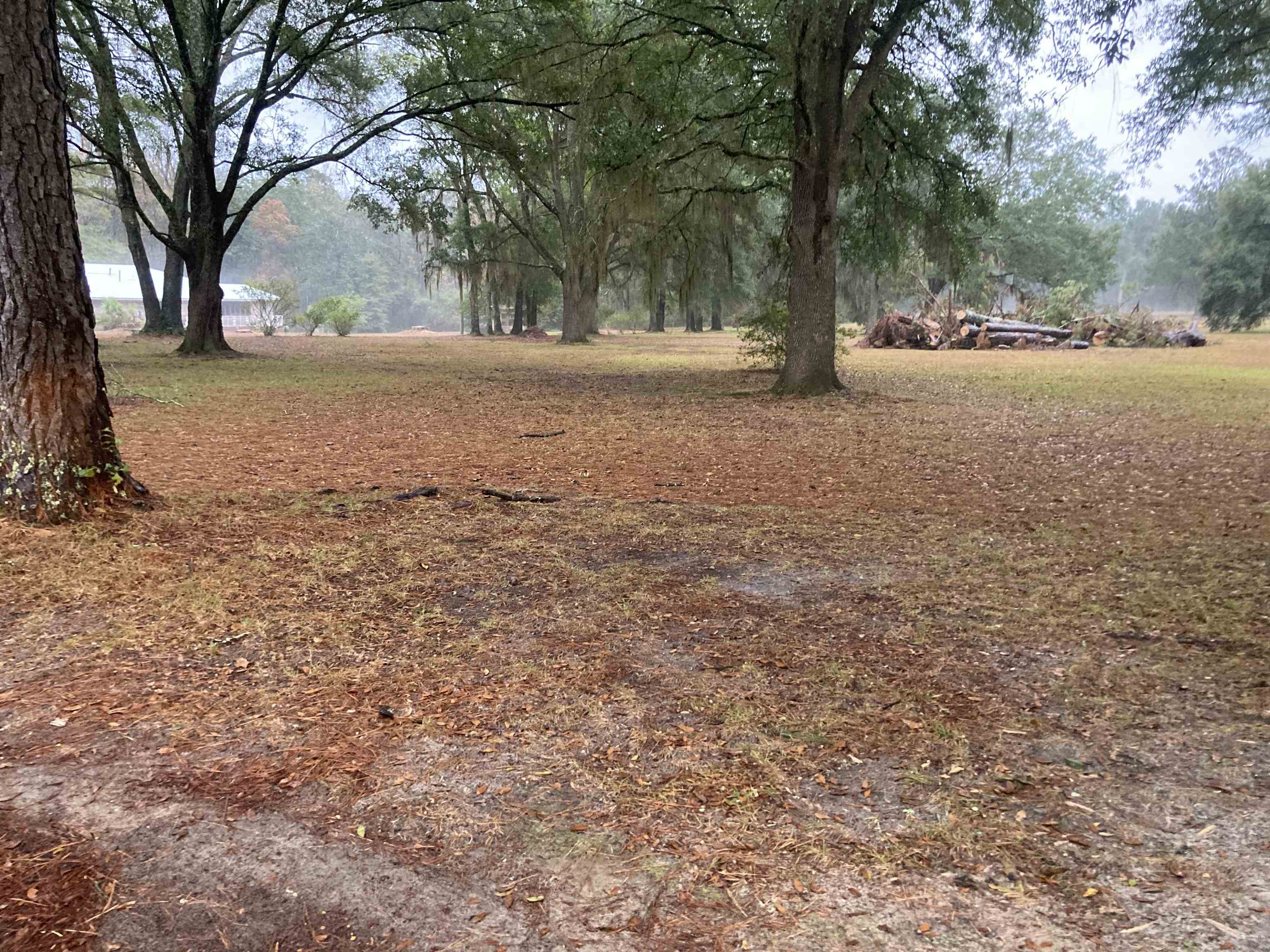 276 Blue Bird Road Monticello, FL 32344 - Photo 1 of 4