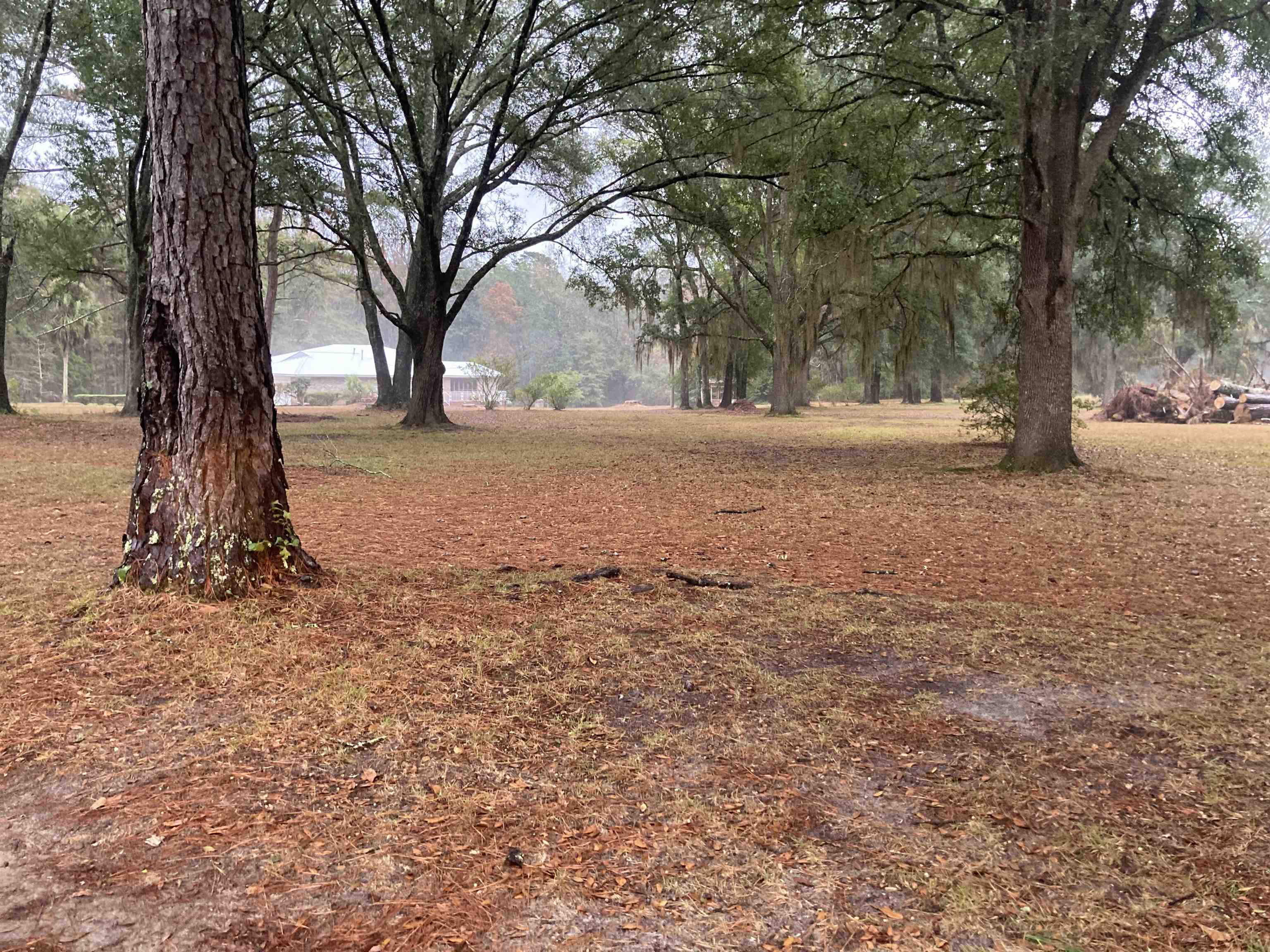 276 Blue Bird Road Monticello, FL 32344 - Photo 2 of 4