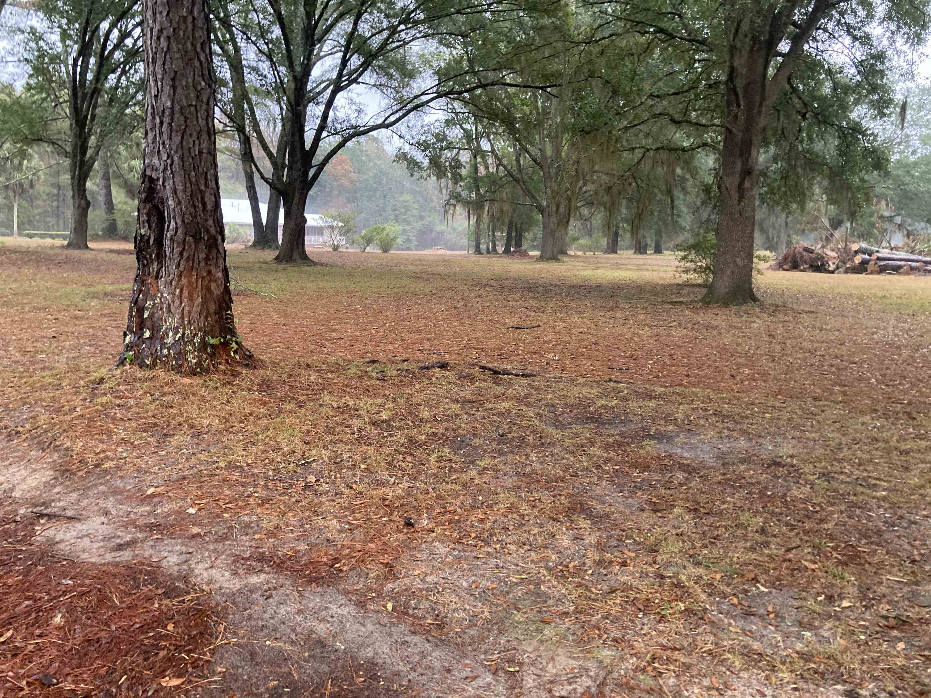 276 Blue Bird Road Monticello, FL 32344 - Photo 4 of 4