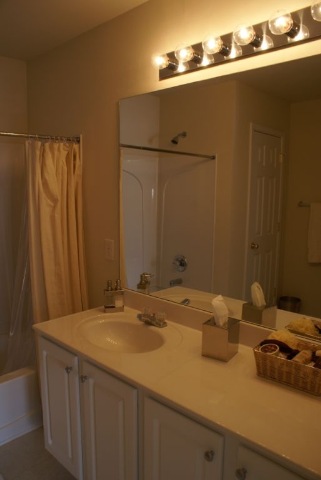 209 Chardon Place Greenville, SC 29607 - Photo 8 of 9 Gallery Image 8
