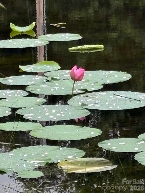 7868-7864 Kinglet Road Connelly Springs, NC 28612 - Photo 15 of 21