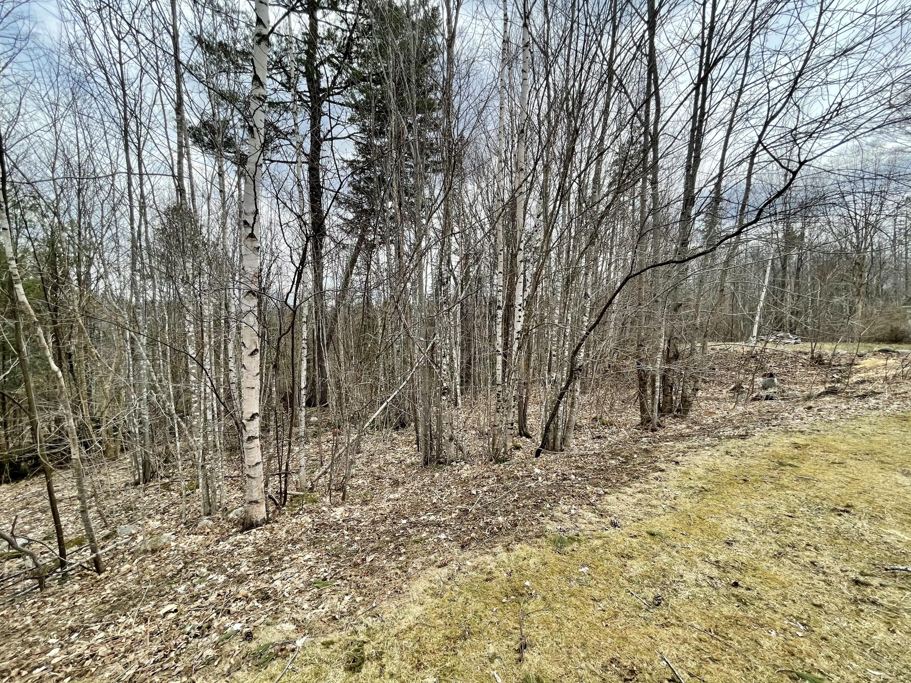 59 Weir Pond Road Lee, ME 04455 - Photo 25 of 28 23DA6121-7A90-497E-BA93-D58B58BEF069