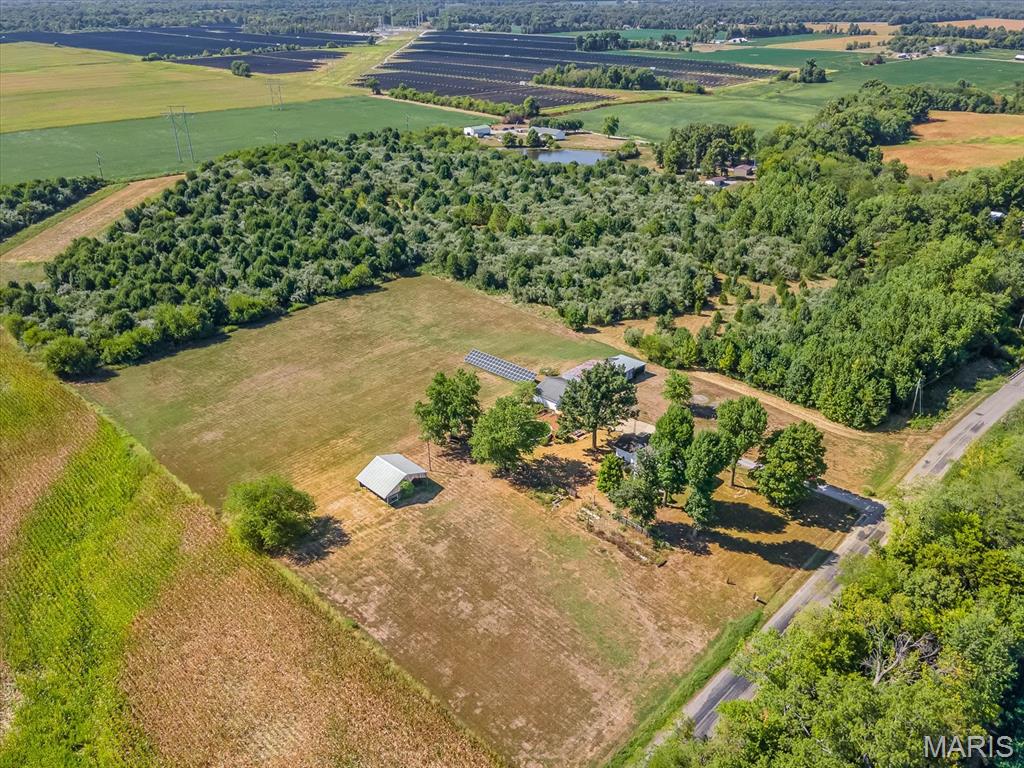 2613 Pecan Road Du Quoin, IL 62832 - Photo 5 of 29