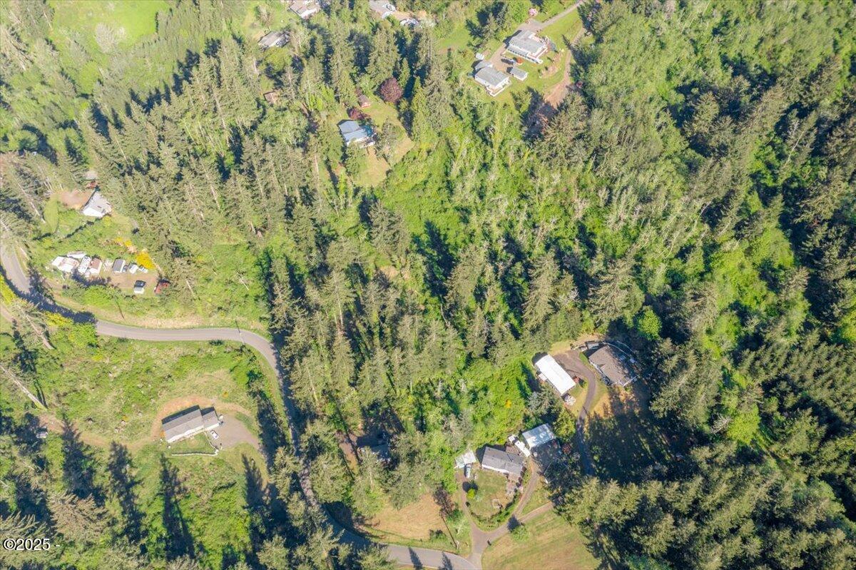 1600 Criteser Loop Toledo, OR 97391 - Photo 4 of 12 04-DJI_0678