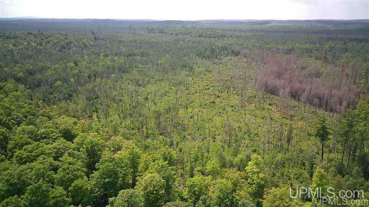 Tbd Sand Road, Unit 2 Powers, MI 49874 - Photo 6 of 38
