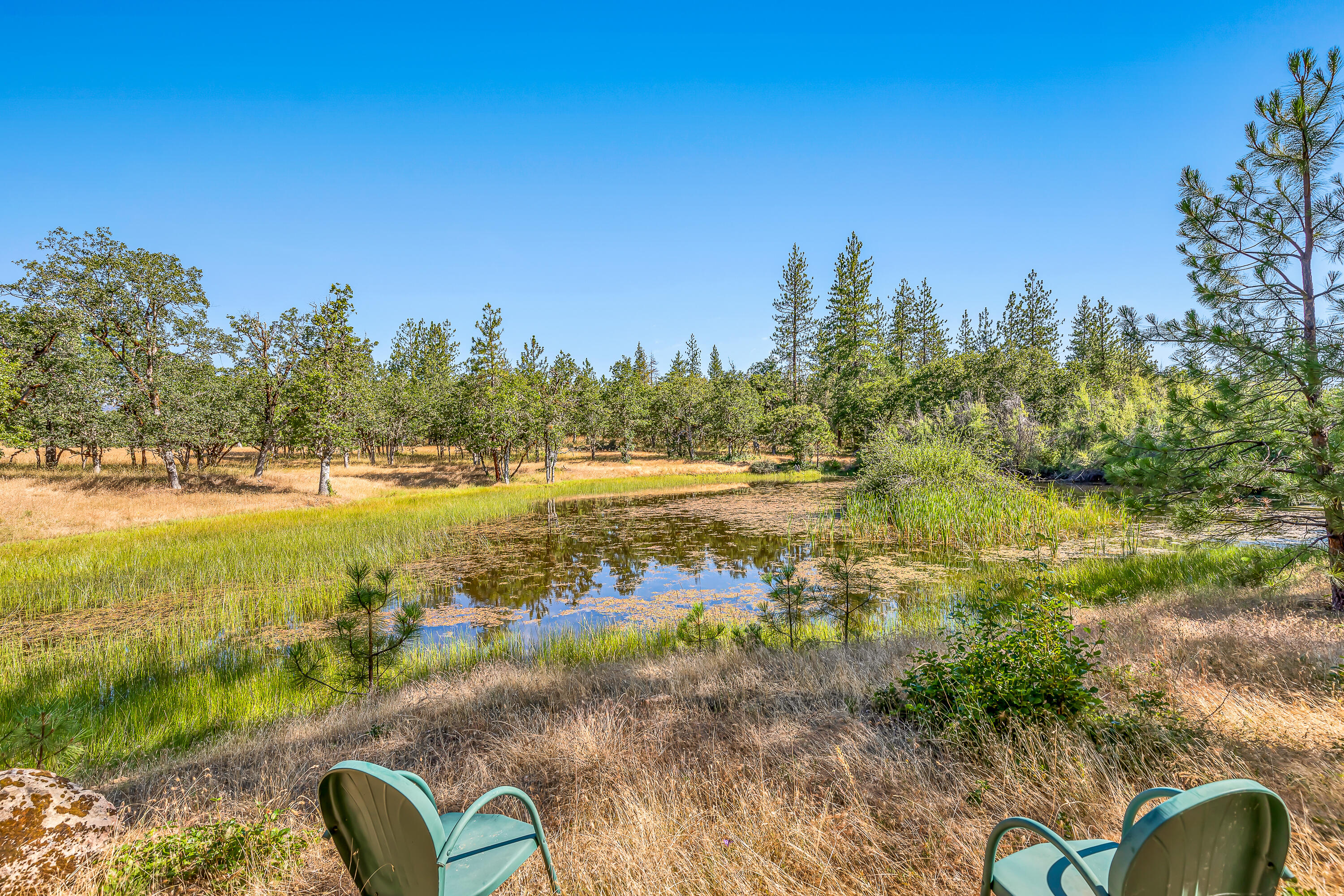 7745 Beagle Road White City, OR 97503 - Photo 33 of 49 9R9A5921