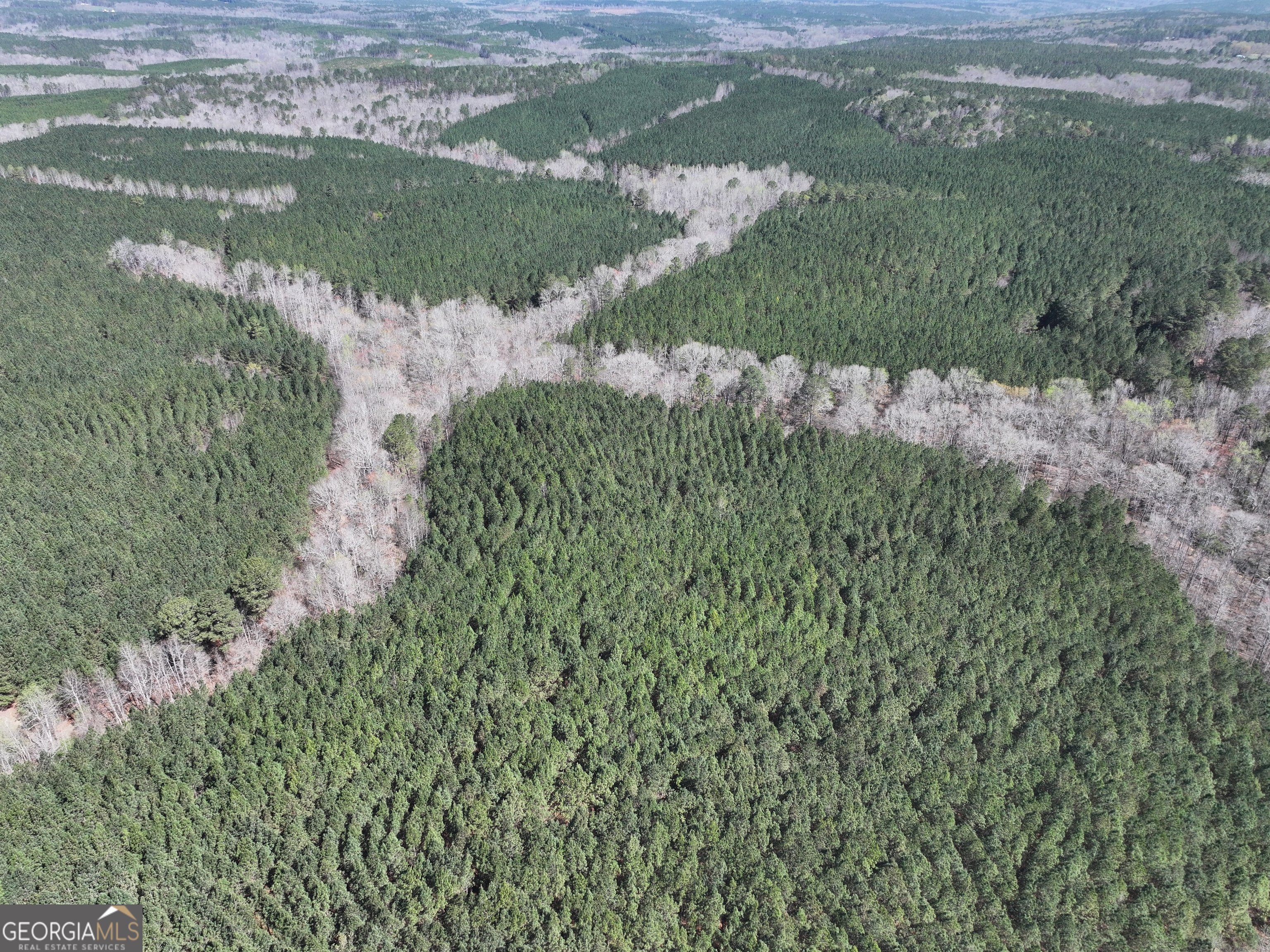 257 Acres On Ridgeway Road Franklin, GA 30217 - Photo 21 of 28