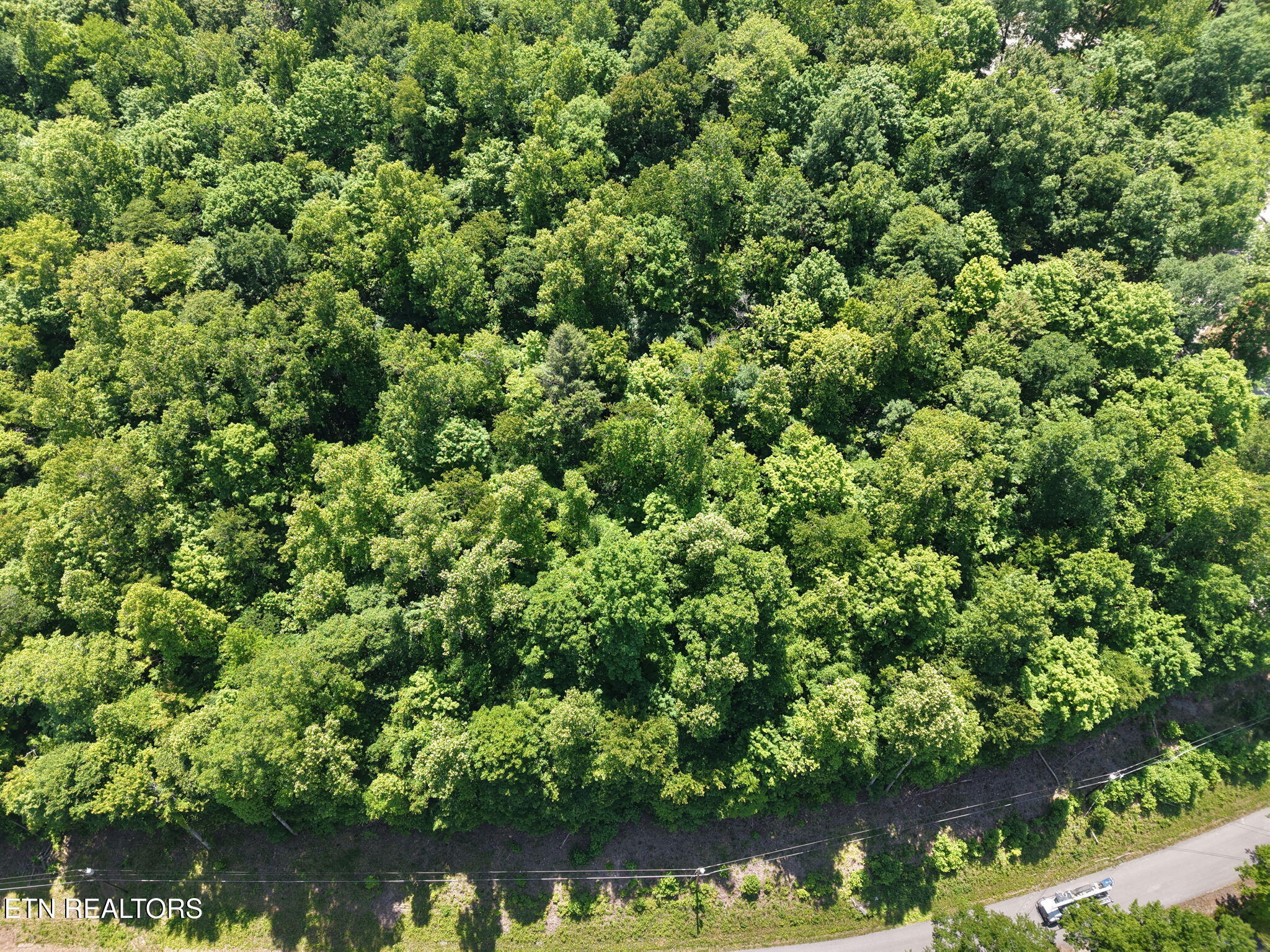 Yoakum Hollow Road Jacksboro, TN 37757 - Photo 7 of 17 4-web-or-mls-DJI_20260518131228_0006_D