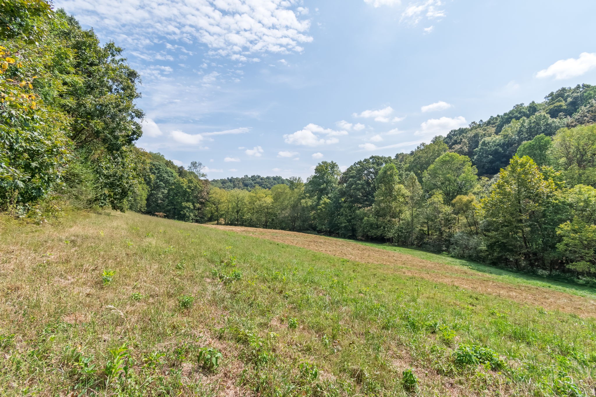 384 Big Spring Hollow Road Pulaski, TN 38478 - Photo 37 of 54 Gallery Image 37