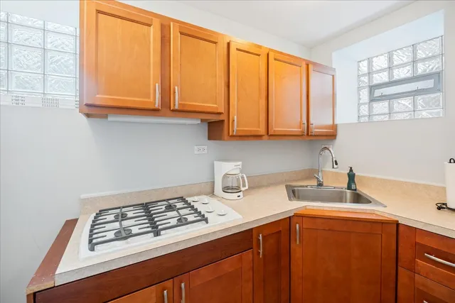 $1,325,000 | 2415 West Belle Plaine Avenue, Chicago, IL 60618