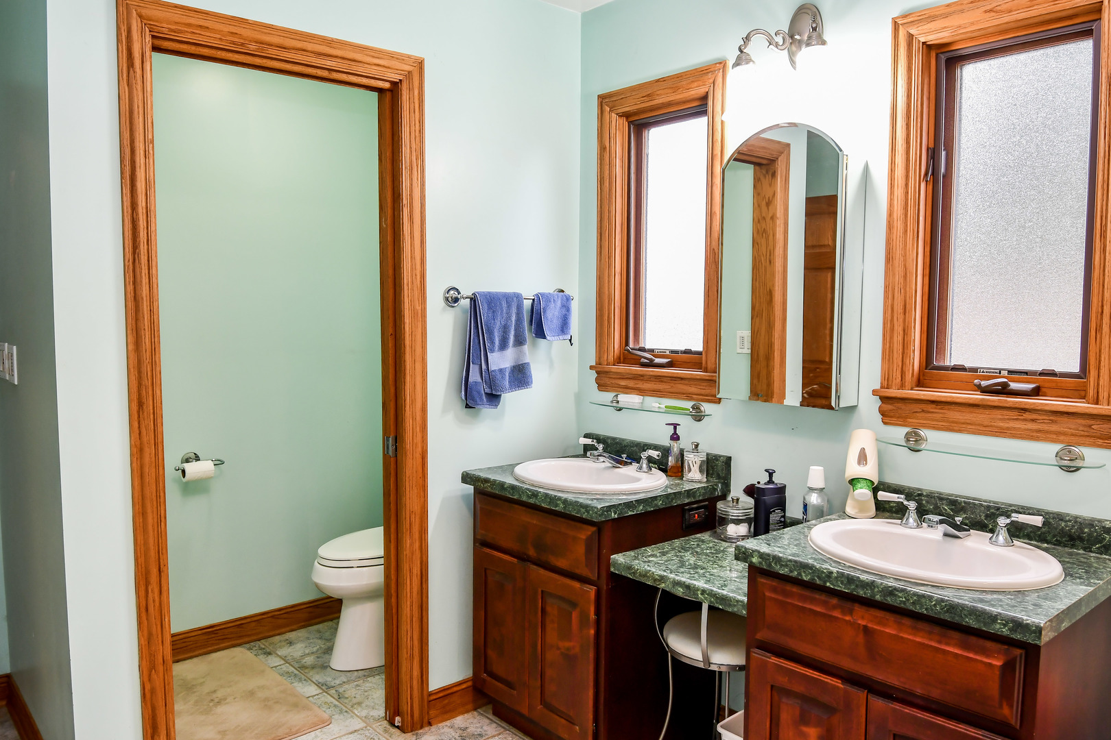 731 Spring Road Elmhurst, IL 60126 - Photo 19 of 23 a bathroom with a granite countertop sink and a mirror with toilet