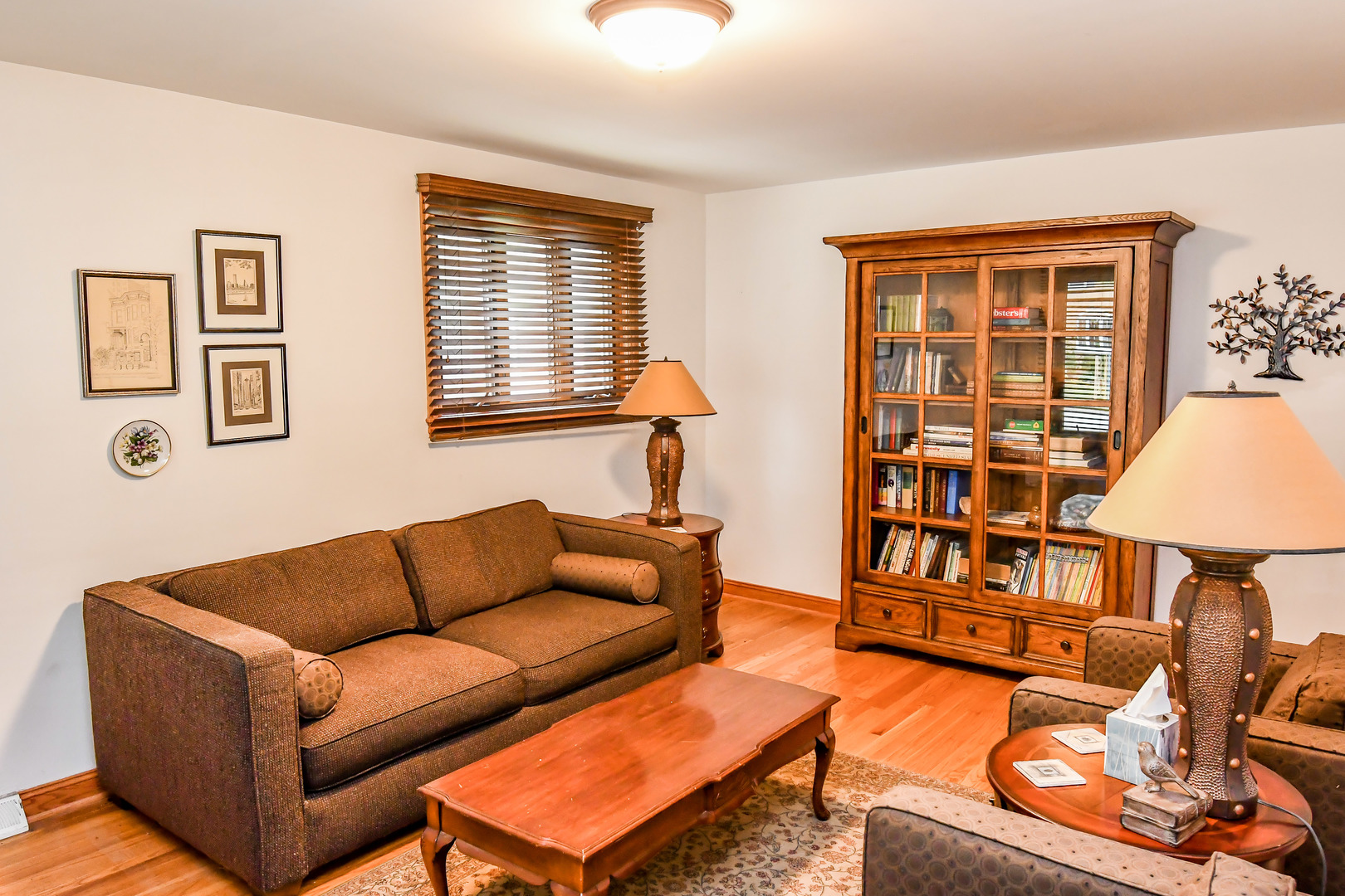731 Spring Road Elmhurst, IL 60126 - Photo 3 of 23 a living room with furniture a rug and a window