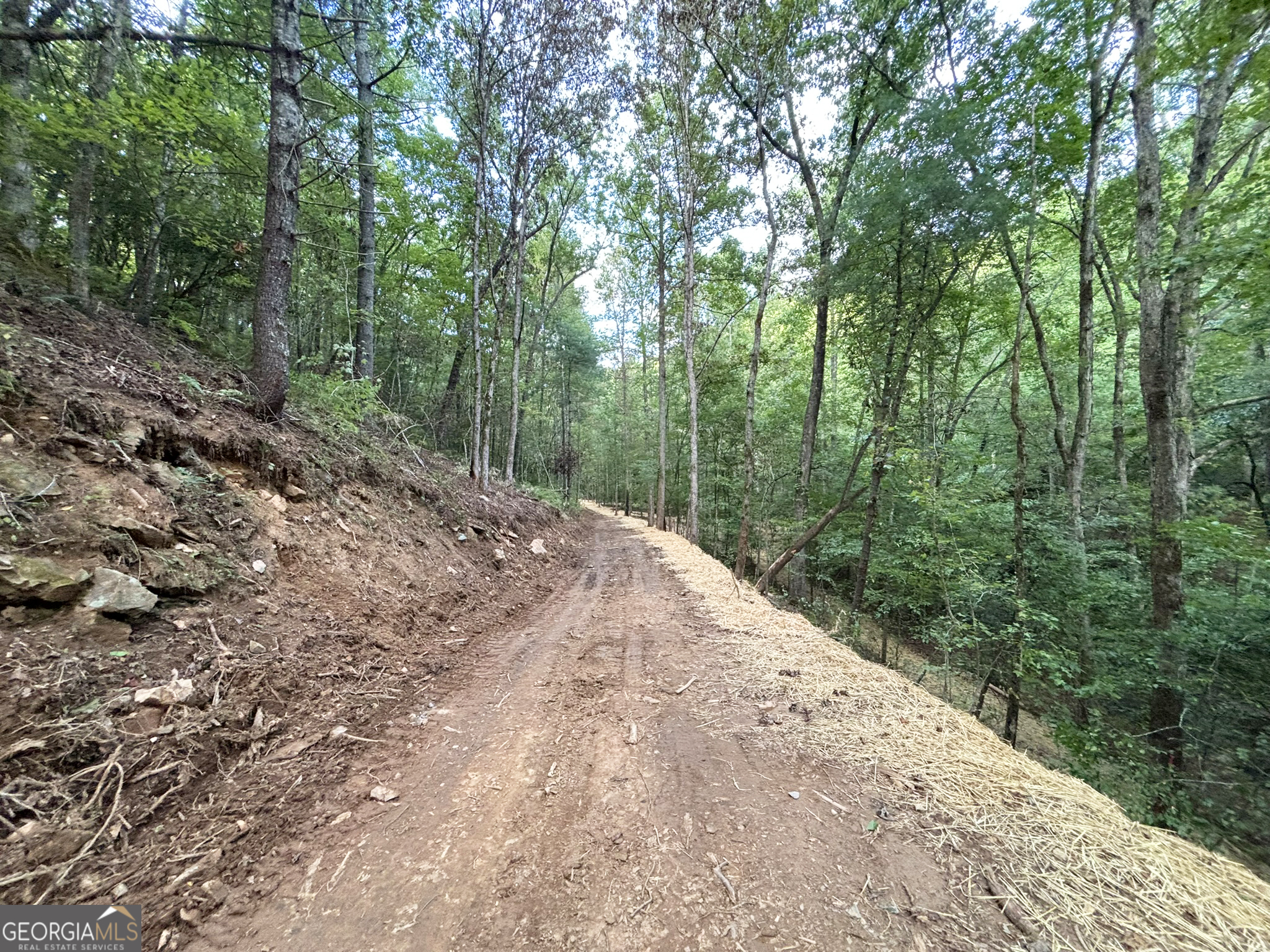 396 Mt Springer Road Ellijay, GA 30540 - Photo 42 of 50