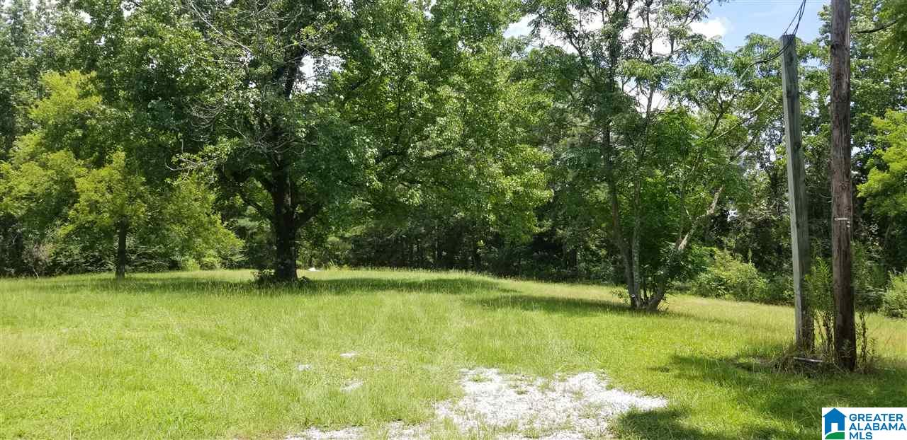 173 Beagle Club Road, Unit 1 2 Empire, AL 35063 - Photo 2 of 20