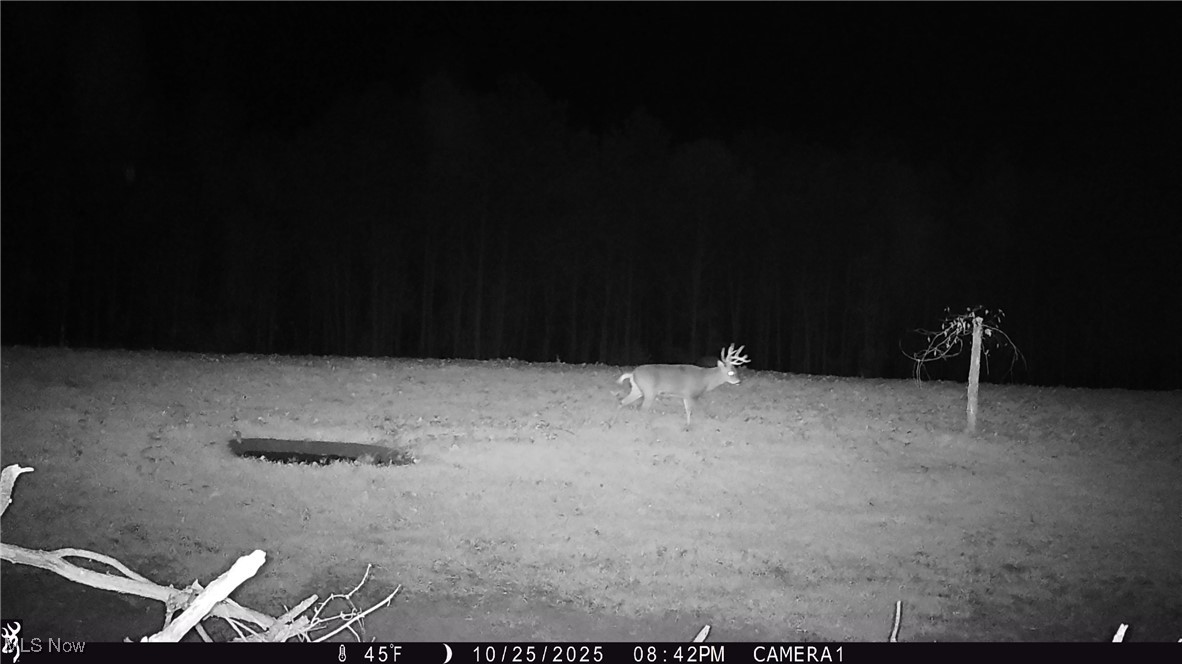Perl Road Chandlersville, OH 43727 - Photo 27 of 48