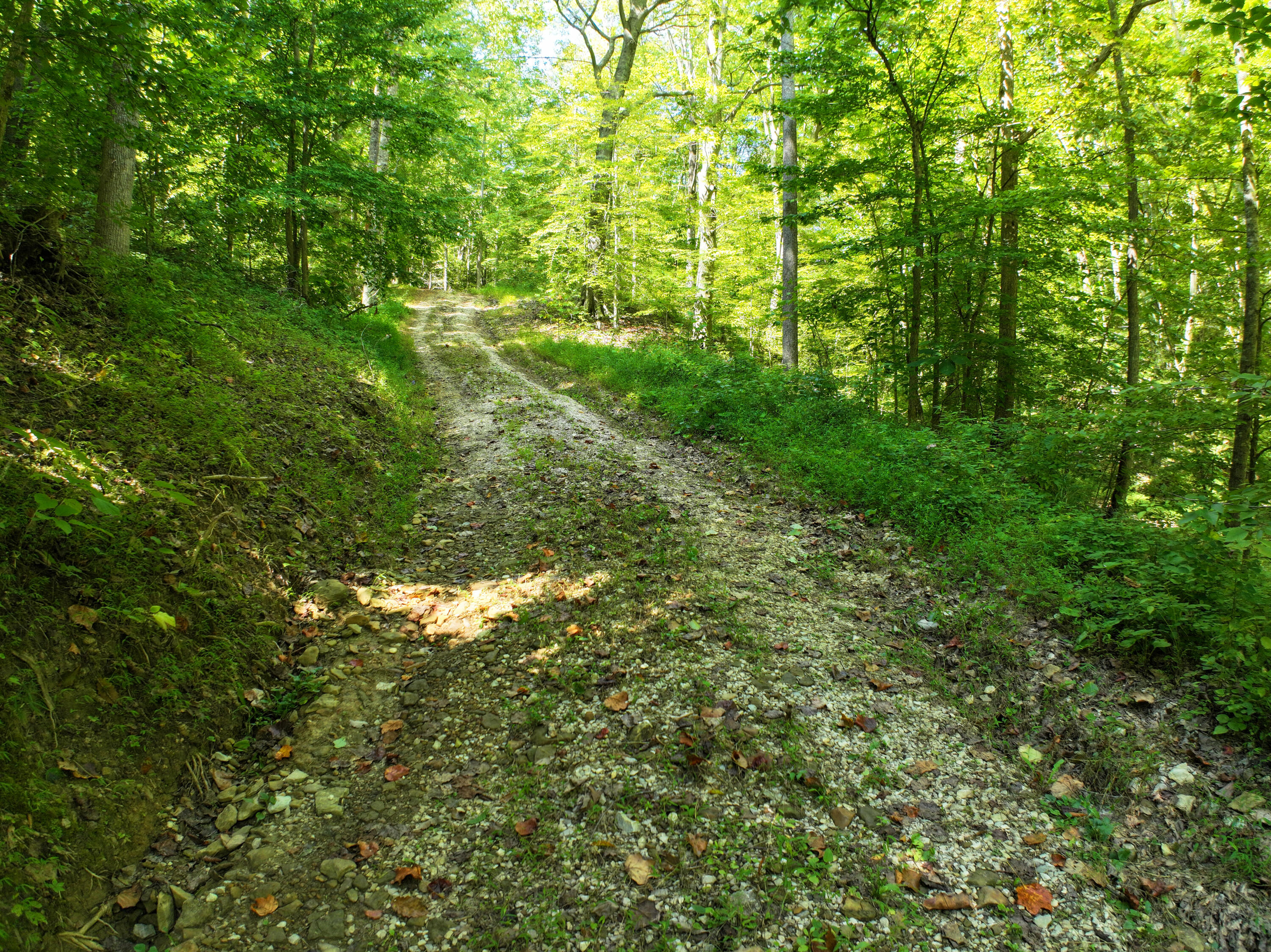 460.2 Cow Creek Road Ravenna, KY 40472 - Photo 46 of 46 Road to the cabin!