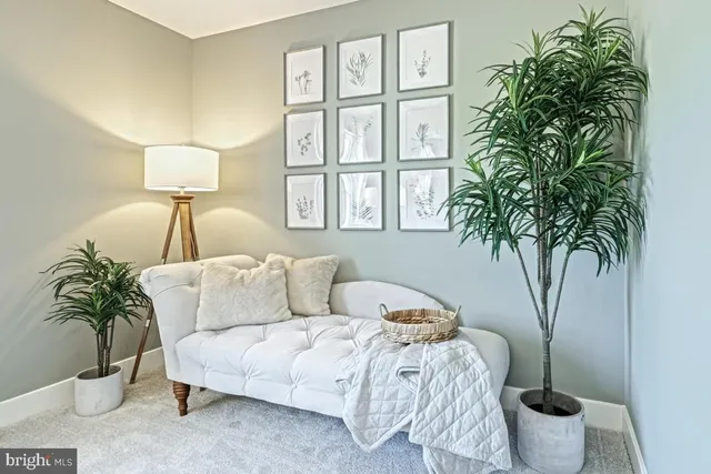 a living room with furniture and a potted plant
