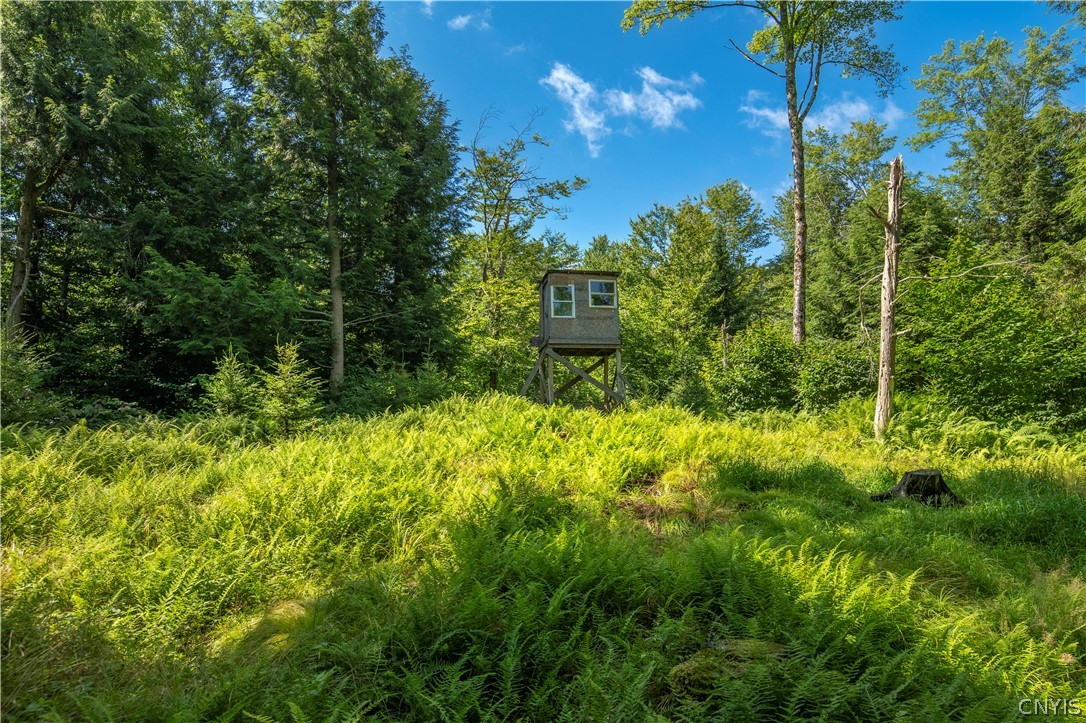 461 Billy Hamlin Road Ohio, NY 13324 - Photo 43 of 49 Gallery Image 43