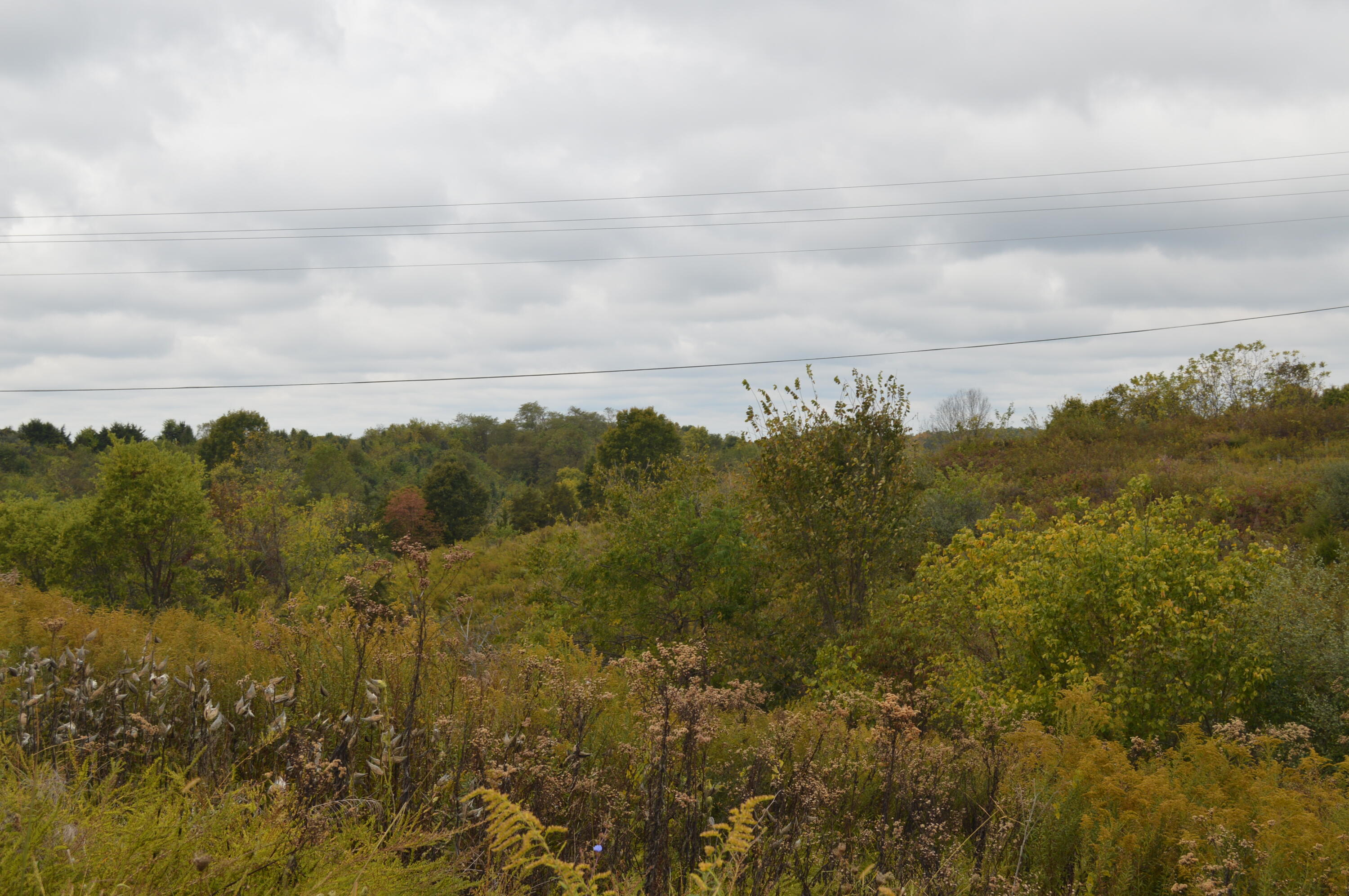 Lot #1 Georgetown Road Owenton, KY 40359 - Photo 9 of 12