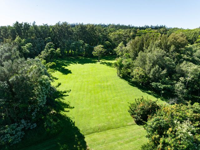 a view of a city with lush green forest