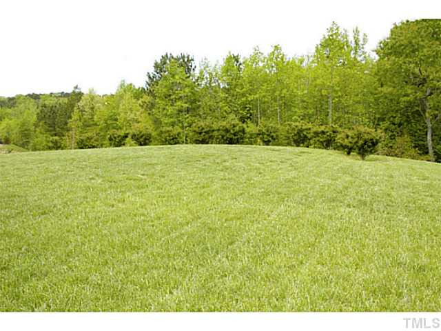 702 Ivyshaw Road Cary, NC 27519 - Photo 24 of 25 Flat expansive backyard space. Shield of privacy with the trees as a backdrop. Back Yard